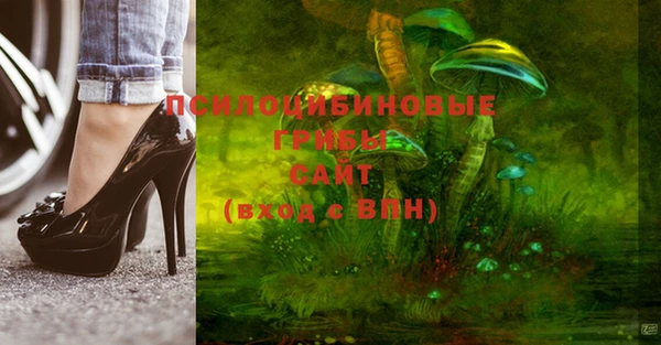 a pvp Кодинск