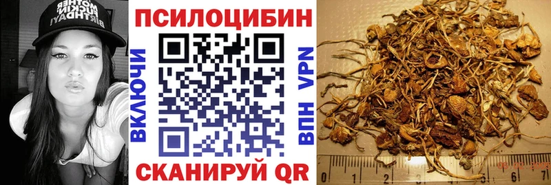 Галлюциногенные грибы MAGIC MUSHROOMS ссылка на мегу вход Ковылкино
